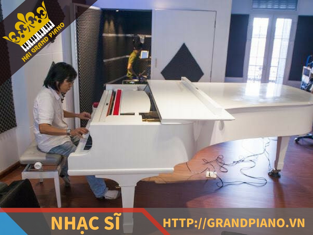hai-grand-piano-nghe-si-12