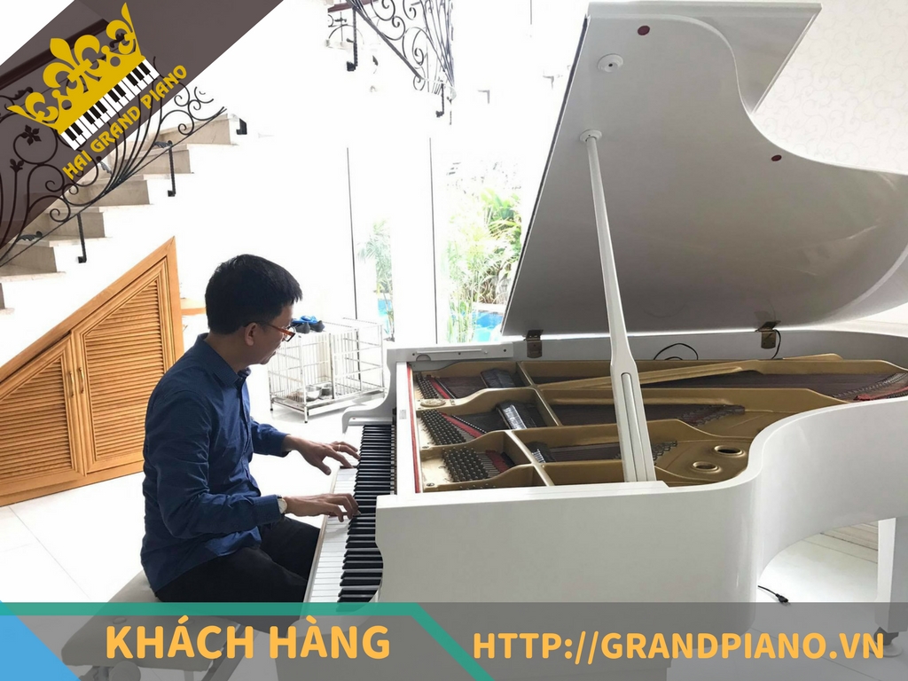 grand-piano-26