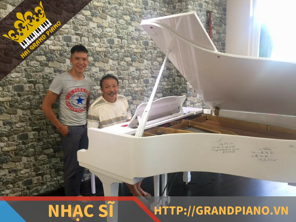 hai-grand-piano-nghe-si-16