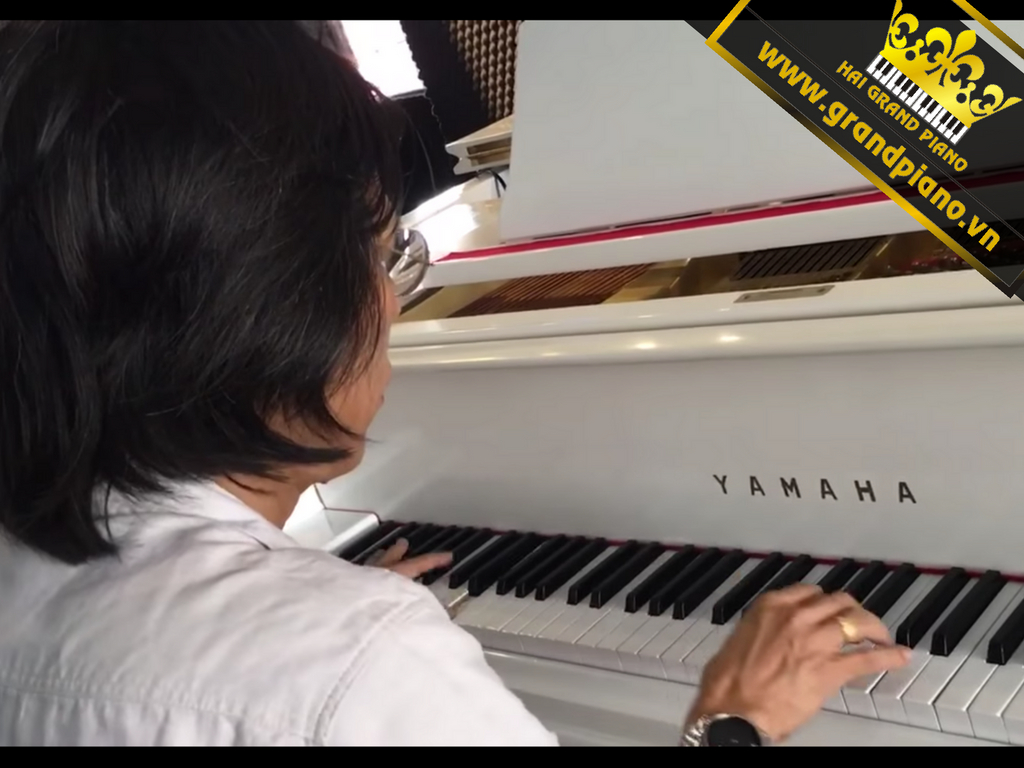 grand-piano-yamaha-c7-NQ
