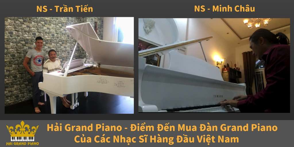 hai-grand-piano-nhac-si