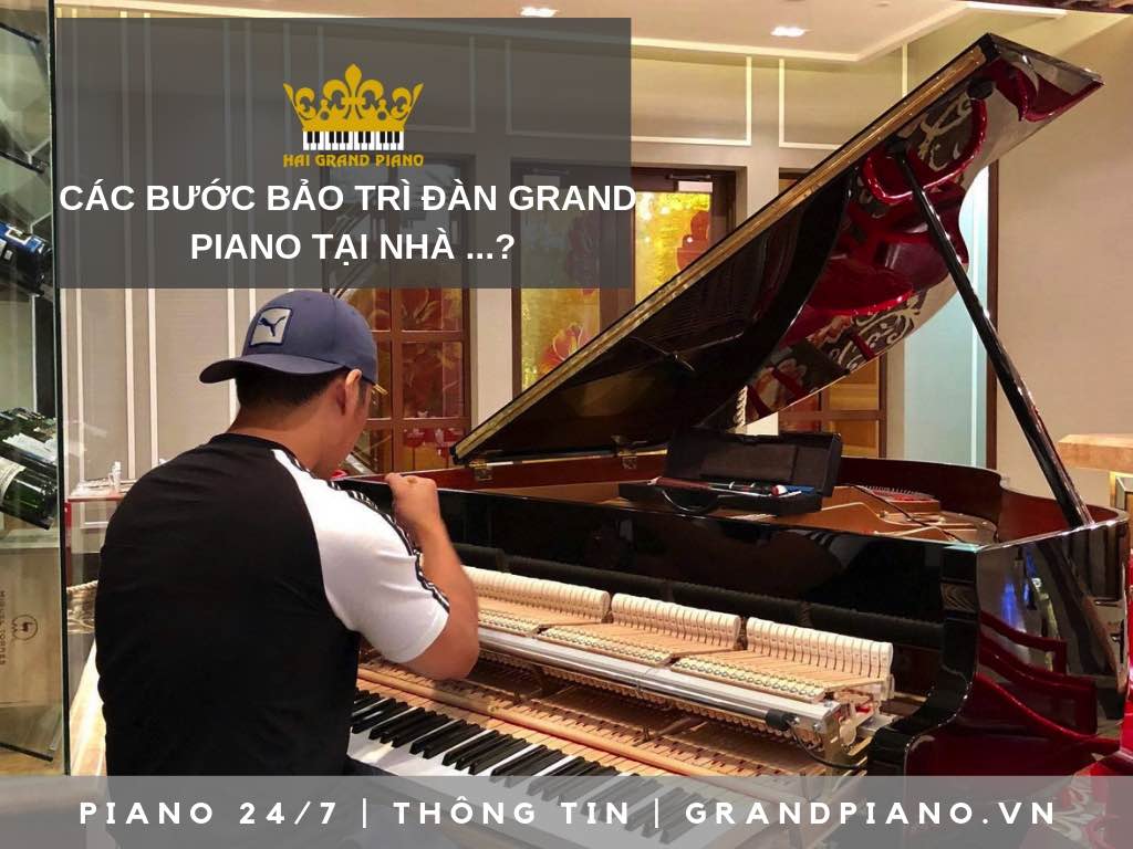 BAO-DUONG-GRAND-PIANO