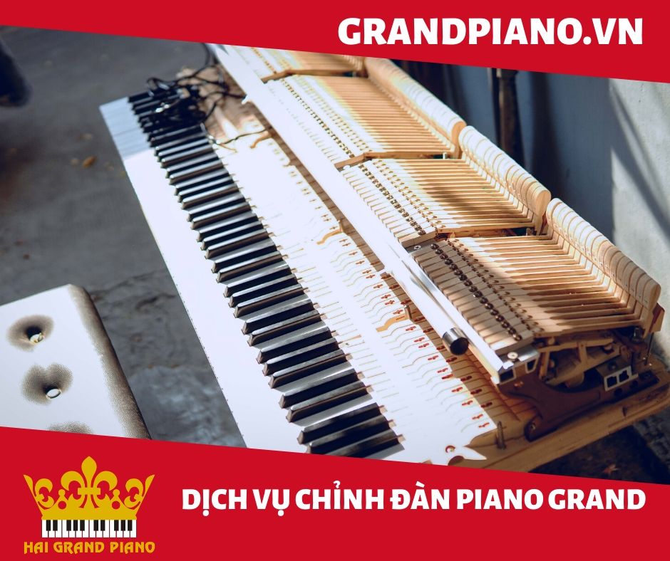 bao-duong-may-dan-piano-1
