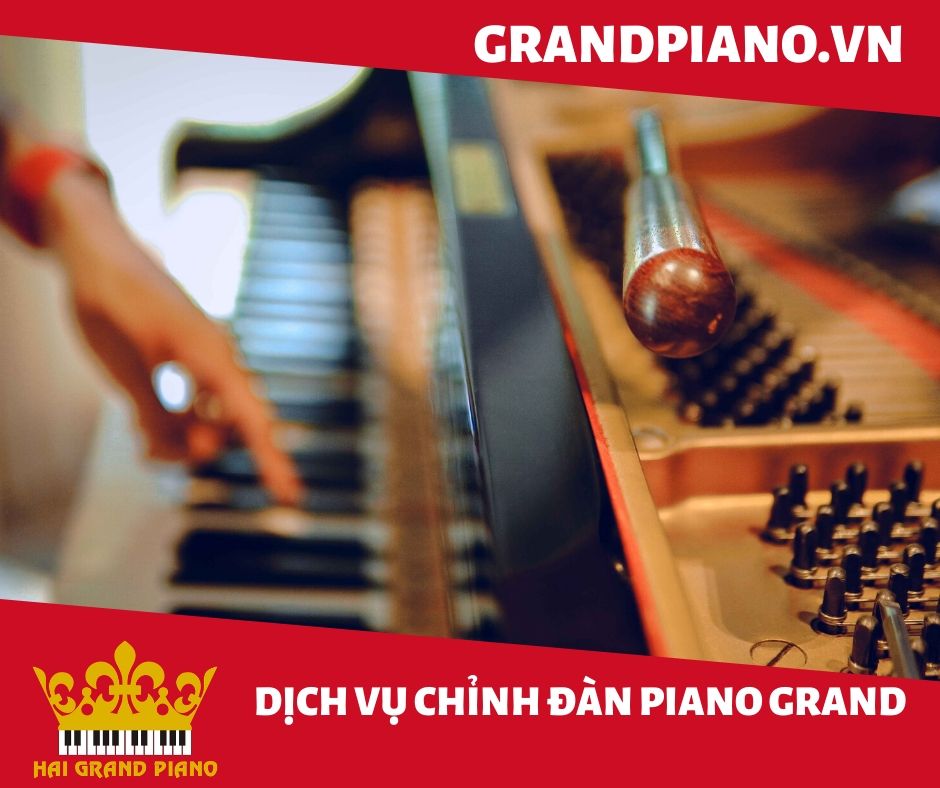 bao-duong-dan-grand-piano-3