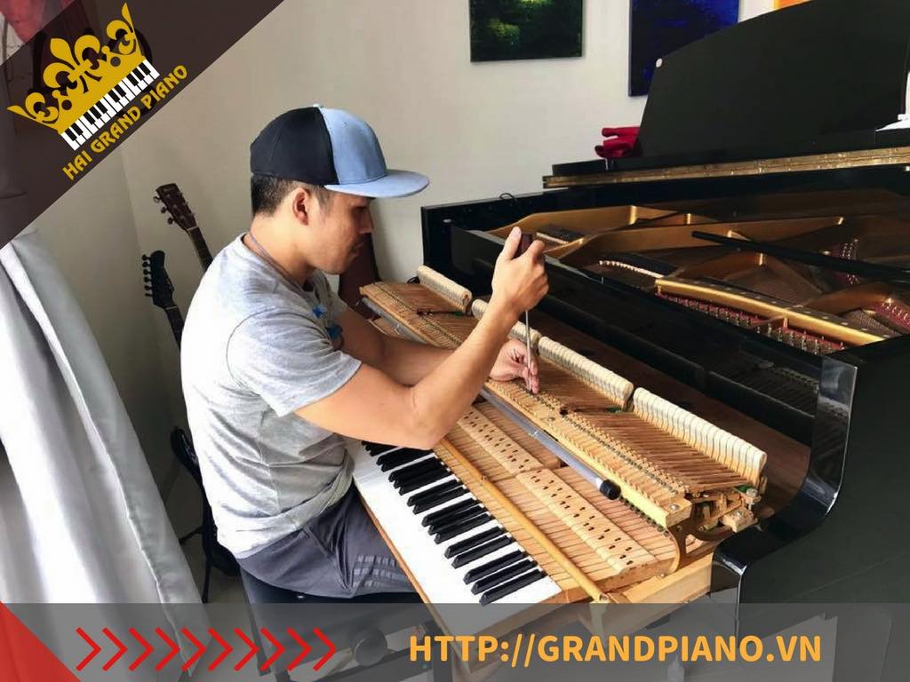 CHỈNH DÂY ĐÀN PIANO ( PIANO TUNING )- HẢI GRAND
