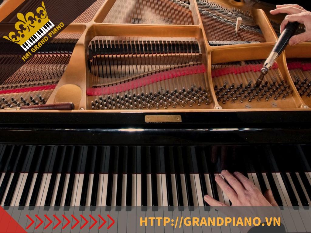 SUA CHUA DAN PIANO_002