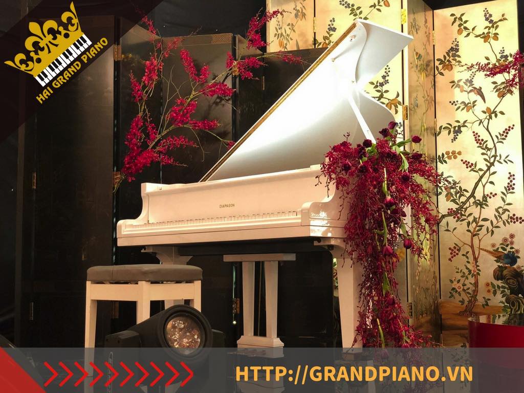 CHO THUE DAN PIANO_002
