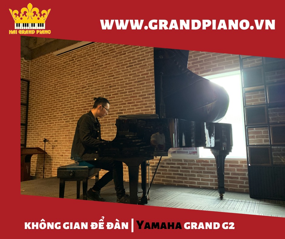 Không Gian Để Đàn Grand Piano Yamaha G2 | Dreamplex Dien Bien Phu