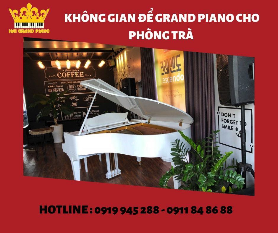grand-piano-phong-tra-tphcm_003
