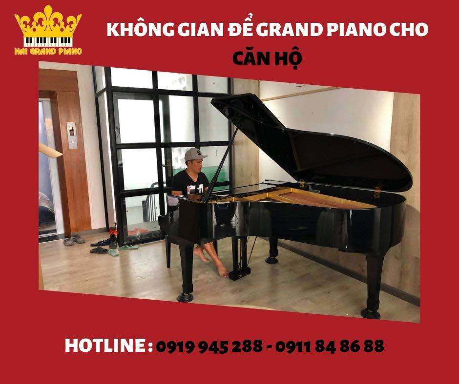 khong-gian-piano-can-ho