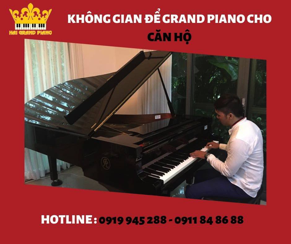 khong-gian-piano-can-ho_001