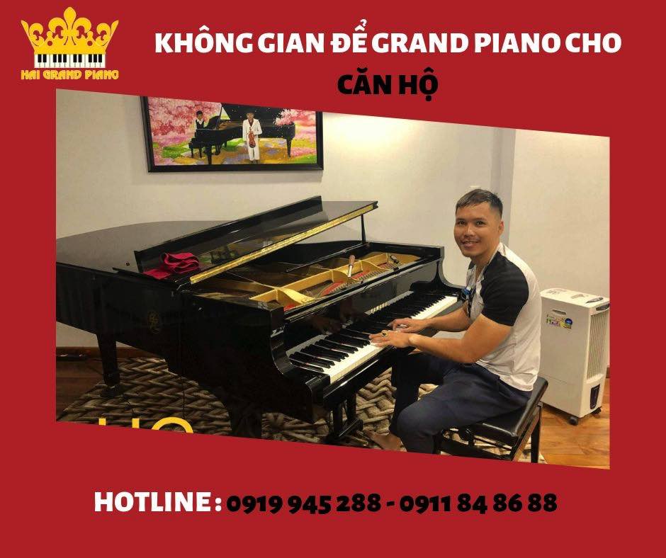 khong-gian-piano-can-ho_002