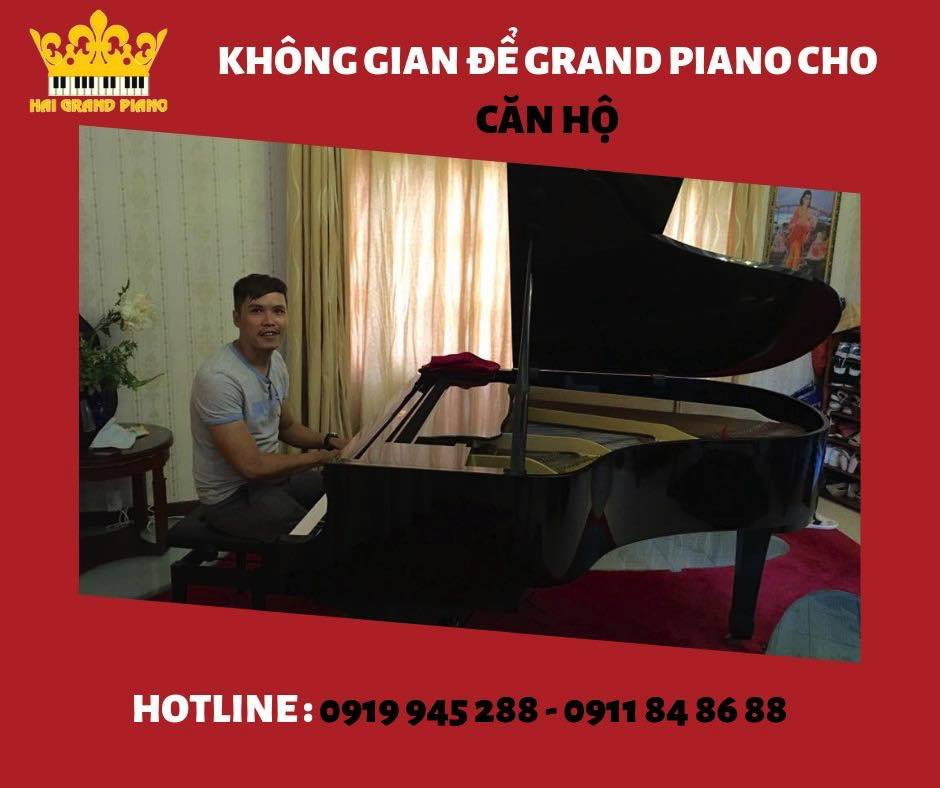 khong-gian-piano-can-ho_004