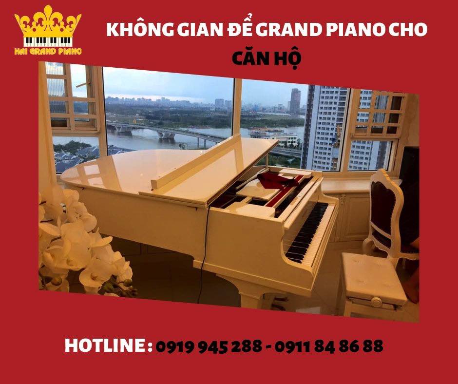 khong-gian-piano-can-ho_006