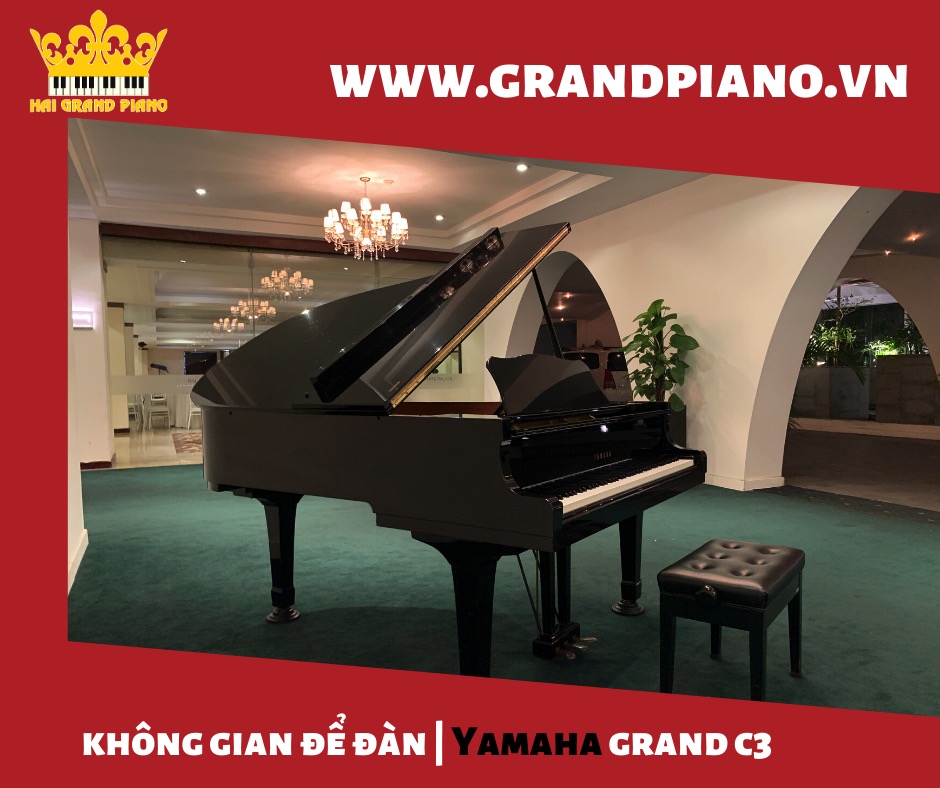 Không Gian Để Đàn Grand Piano C3 