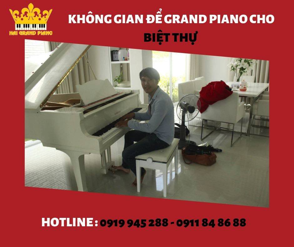 khong-gian-piano-biet-thu_001