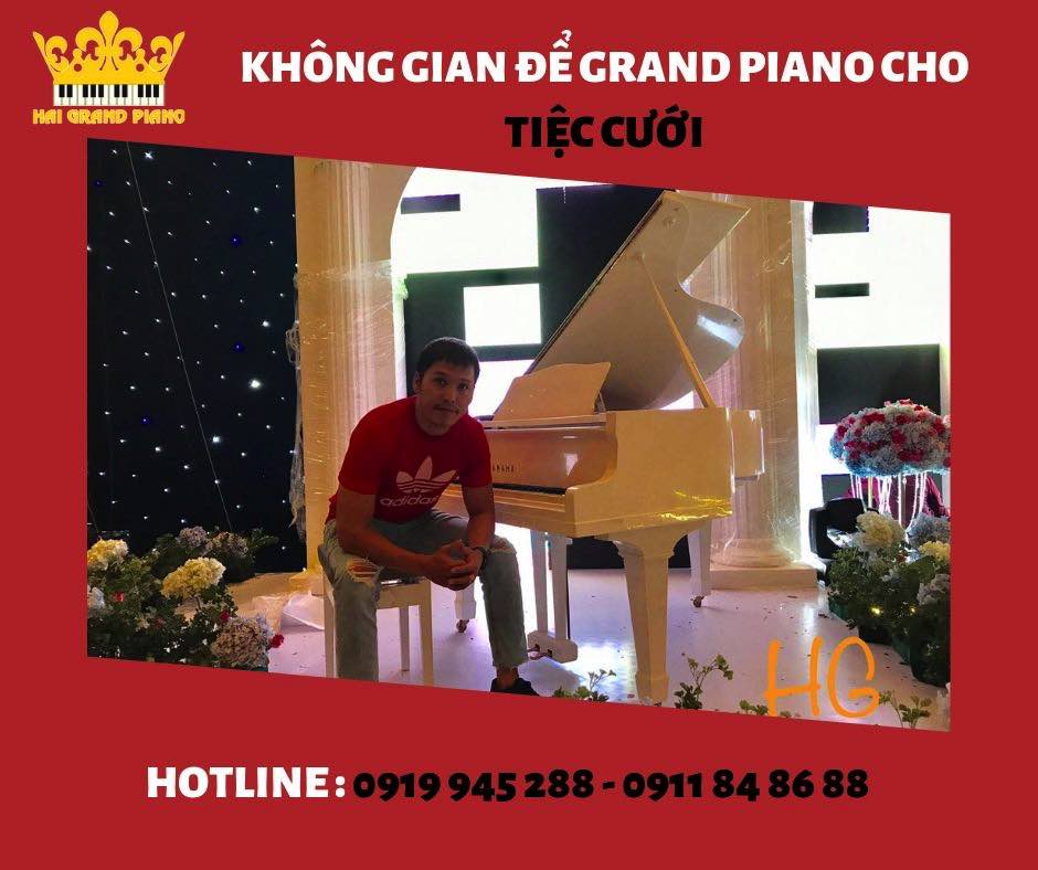 khong-gian-piano-tiec-cuoi_007