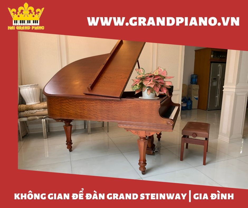 grand-piano-steinway-2