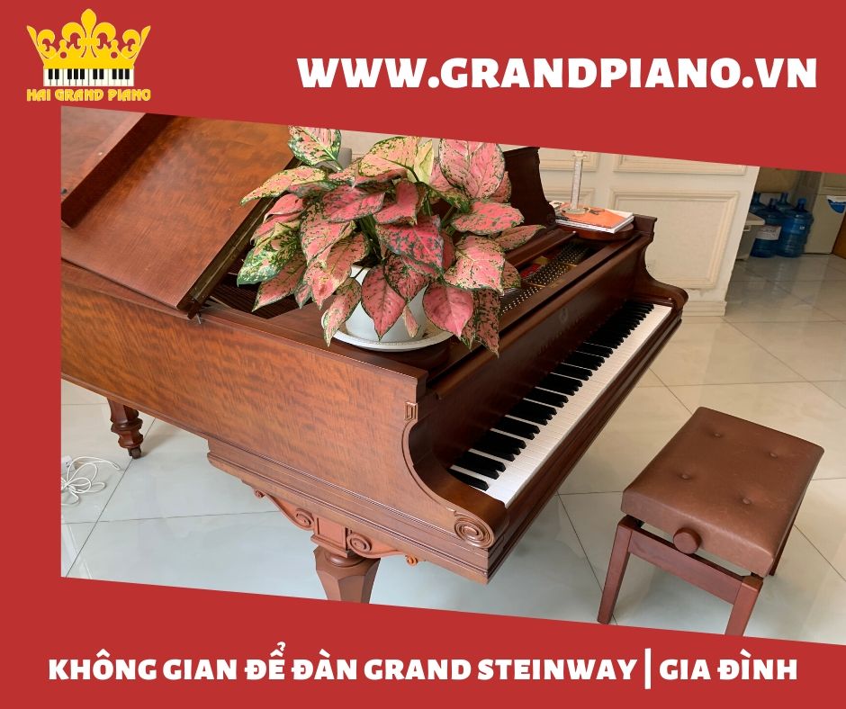 grand-piano-steinway-3