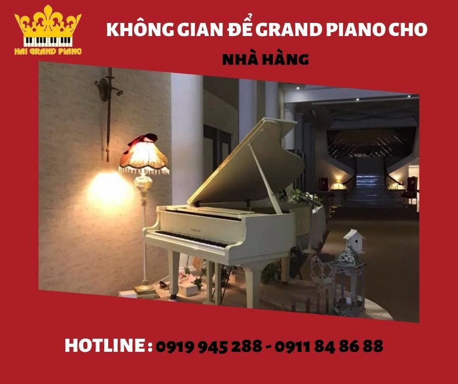 GRAND-PIANO-CHO-NHA-HANG_002