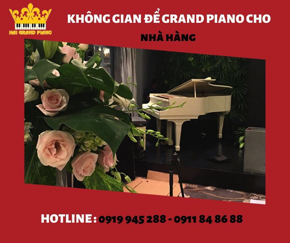 GRAND-PIANO-CHO-NHA-HANG_004