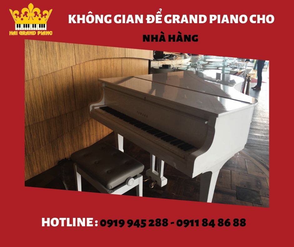 GRAND-PIANO-CHO-NHA-HANG_005
