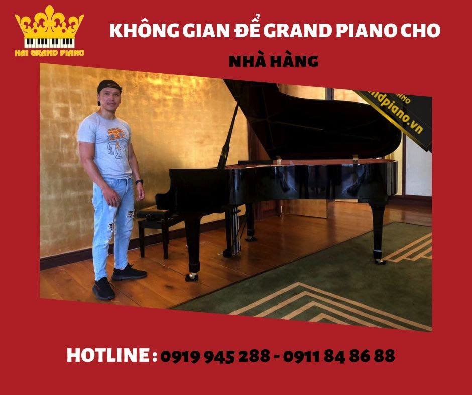 GRAND-PIANO-CHO-NHA-HANG_006
