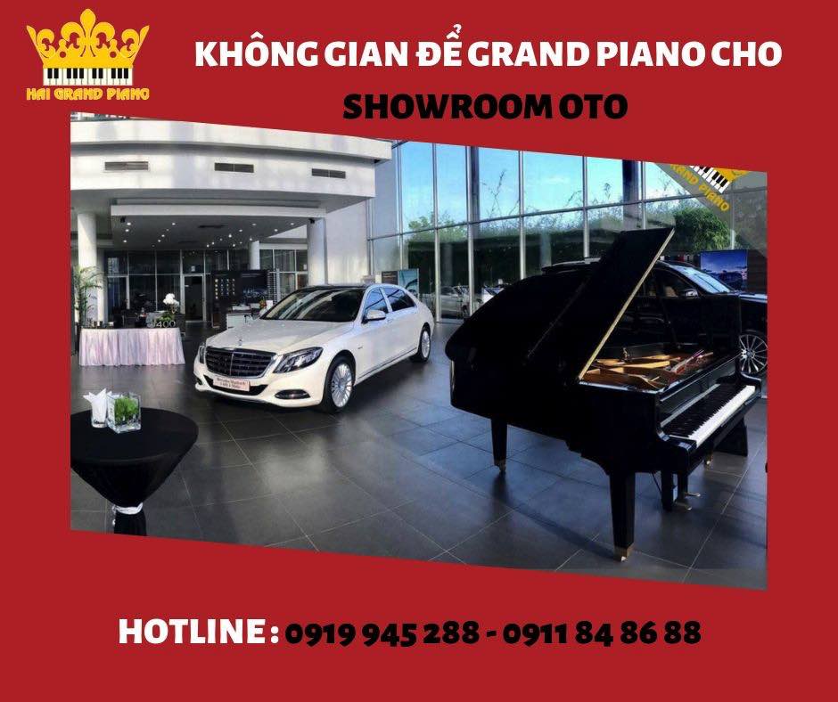 khong-gian-piano-showroom-oto_002