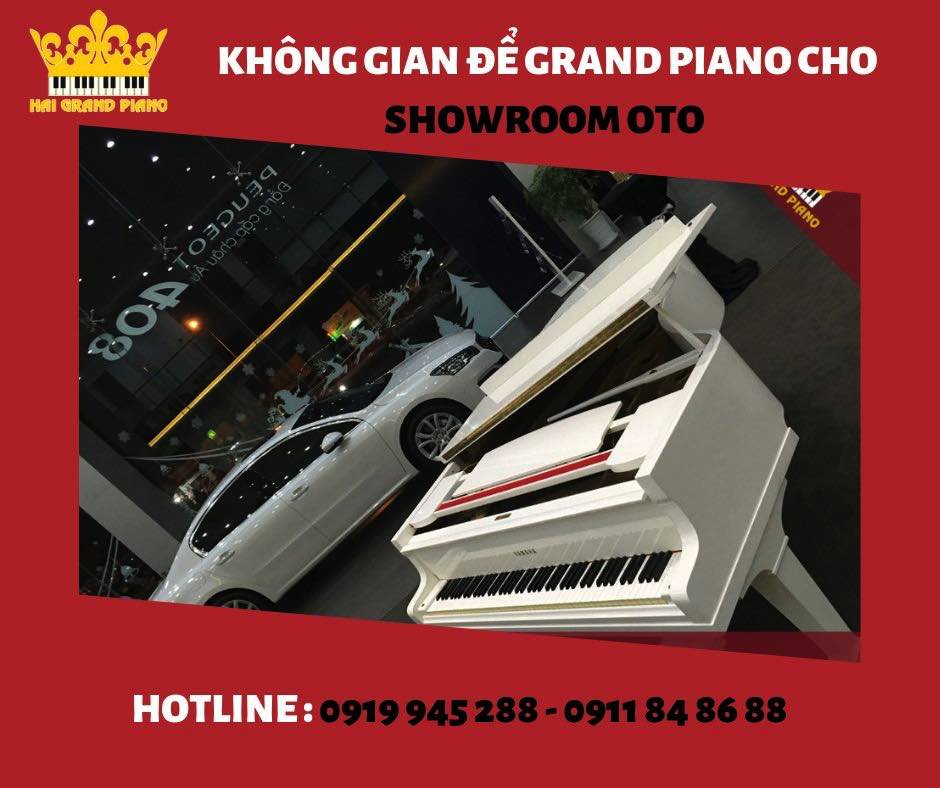 khong-gian-piano-showroom-oto_004