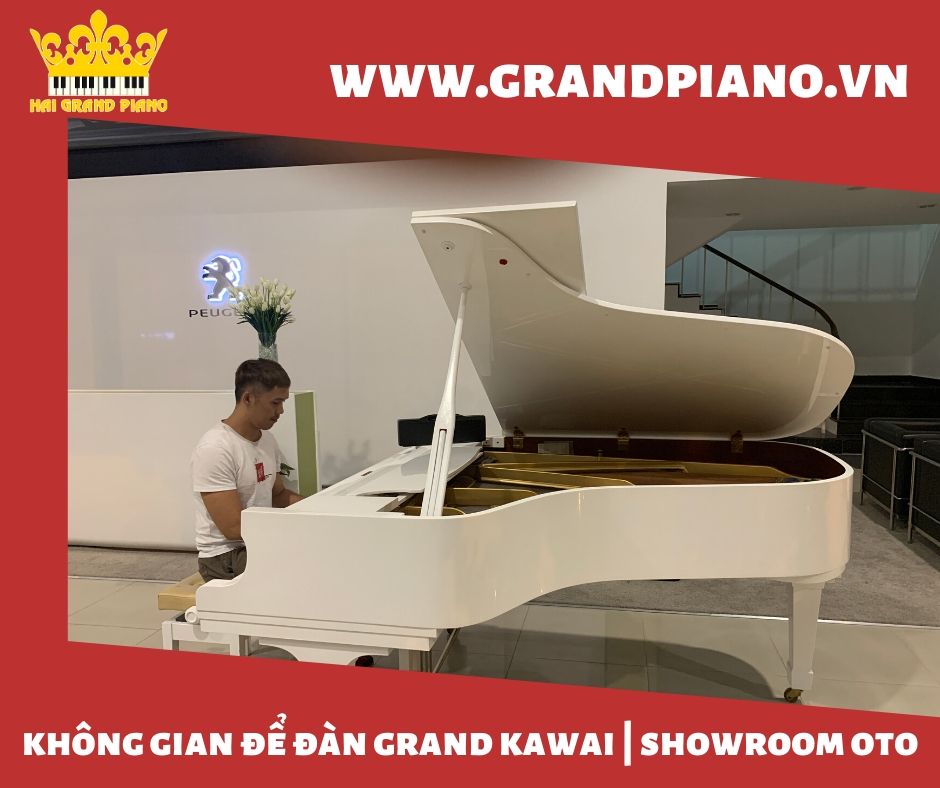 Không Gian Để Đàn Grand Piano Kawai No.500 | Showroom Peugeot
