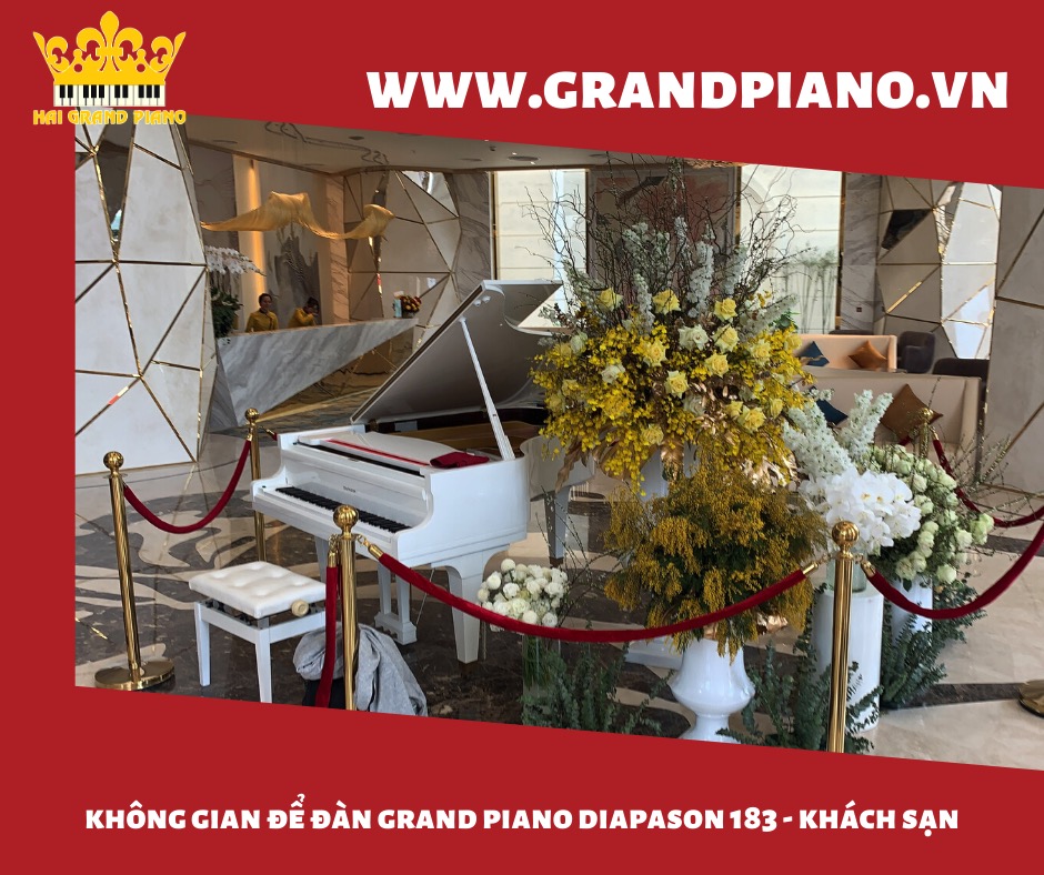 Không Gian Để Đàn Grand Piano Diapson 183 | Khách Sạn | Quận 3
