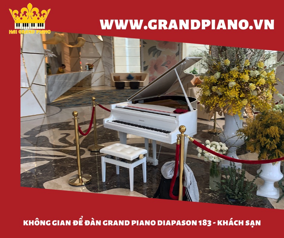 grand piano diapson 183_001
