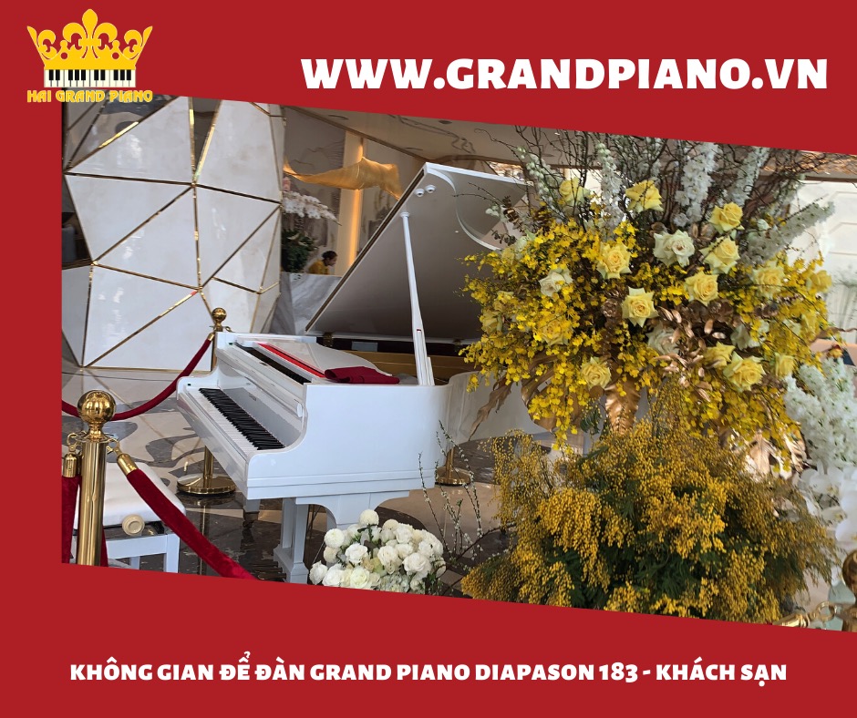 grand piano diapson 183_002