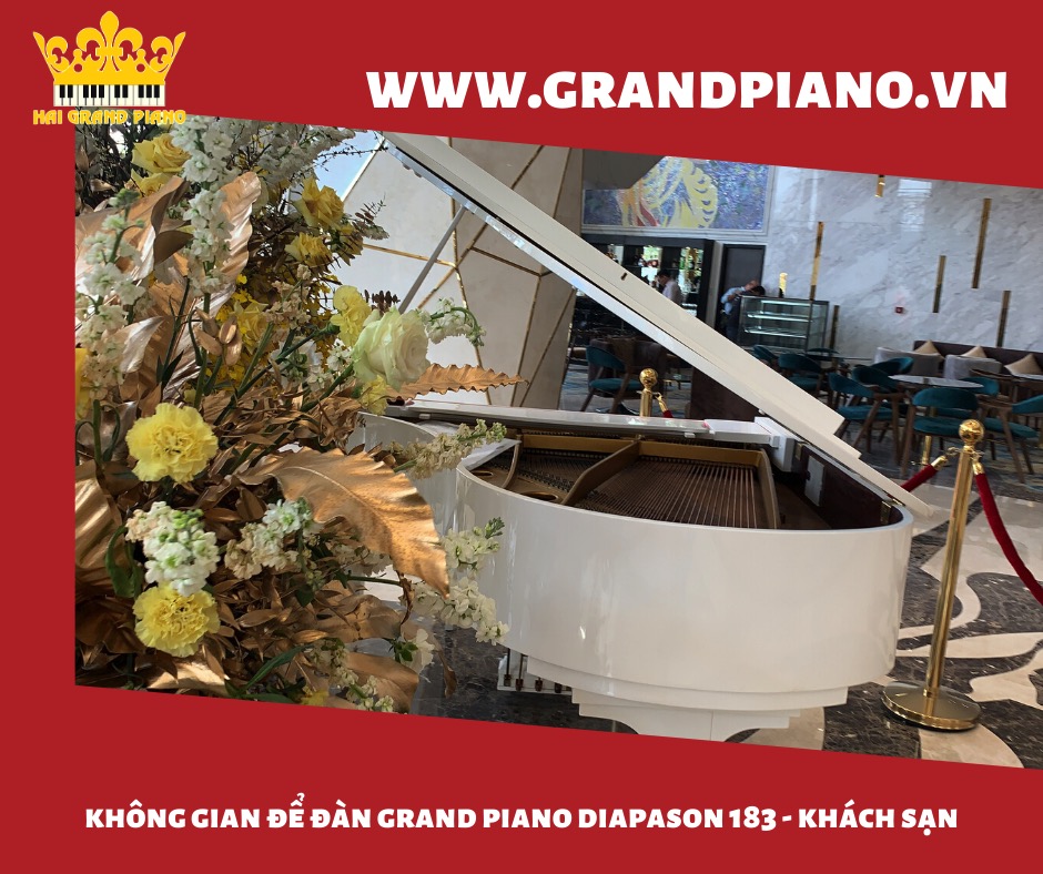 grand piano diapson 183_003