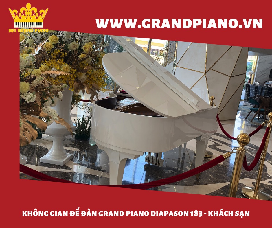 grand piano diapson 183_004