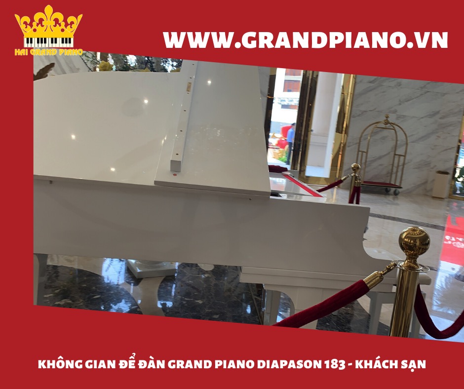 grand piano diapson 183_005
