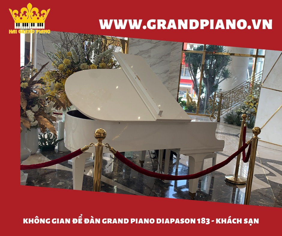grand piano diapson 183_006