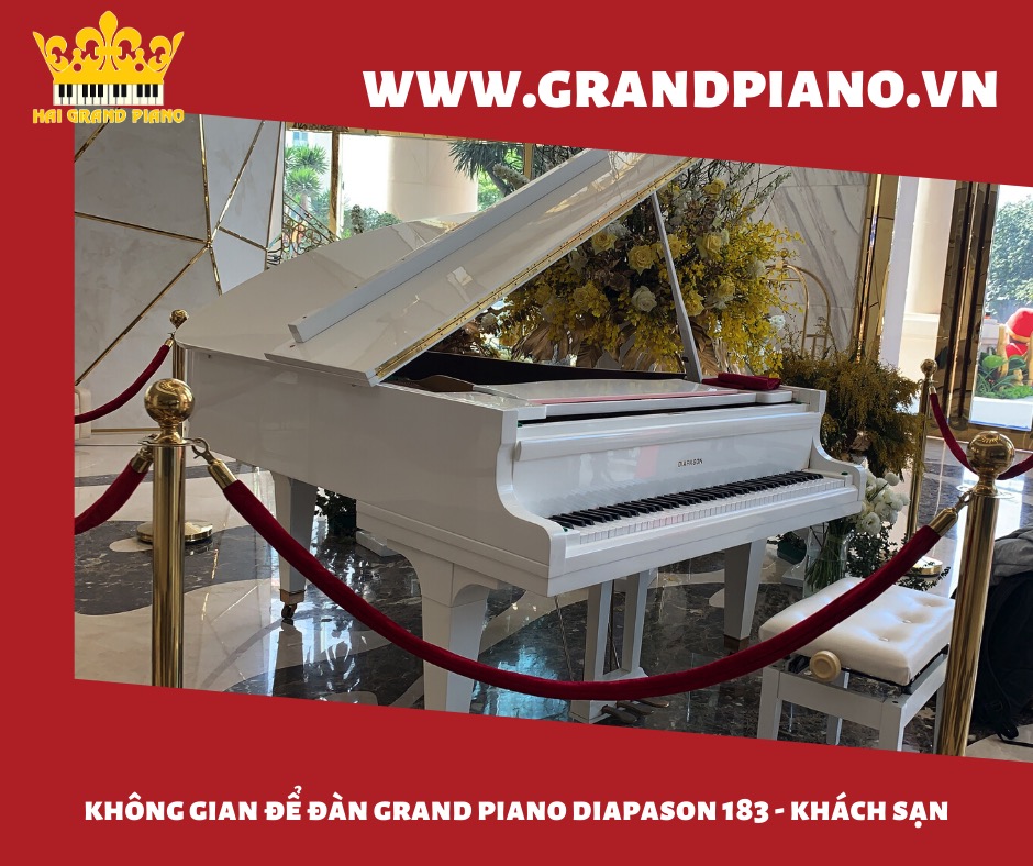 grand piano diapson 183_008