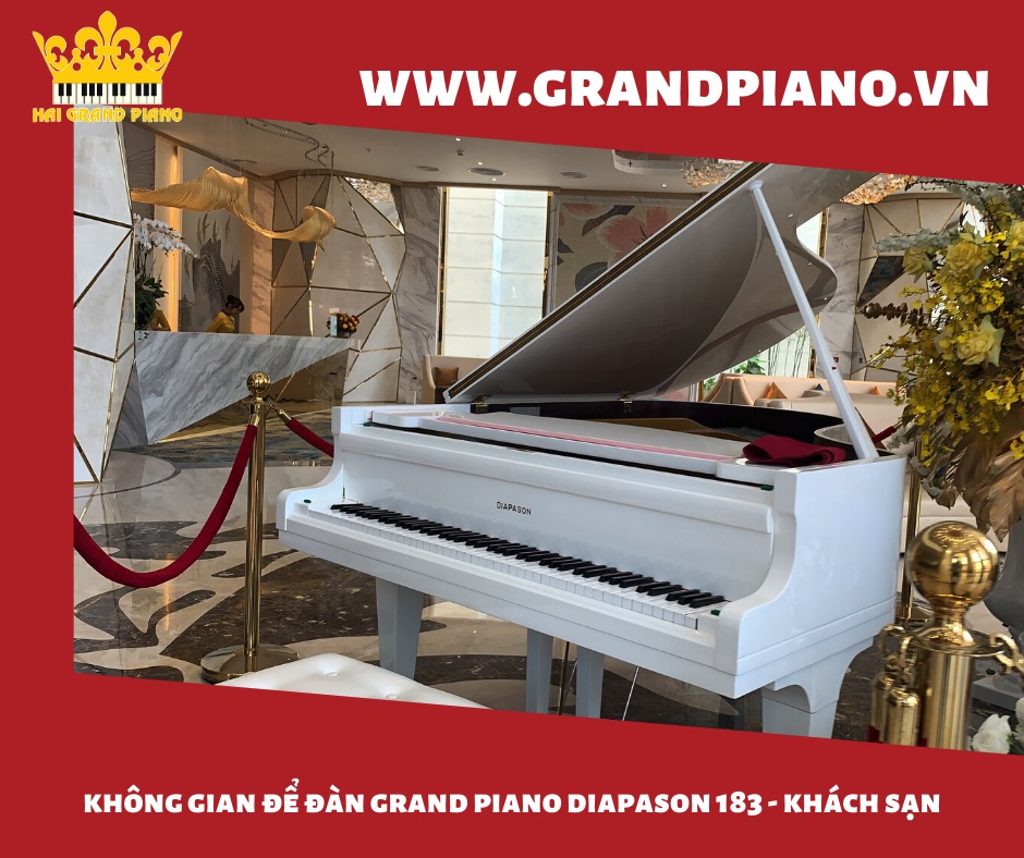 grand piano diapson 183_011