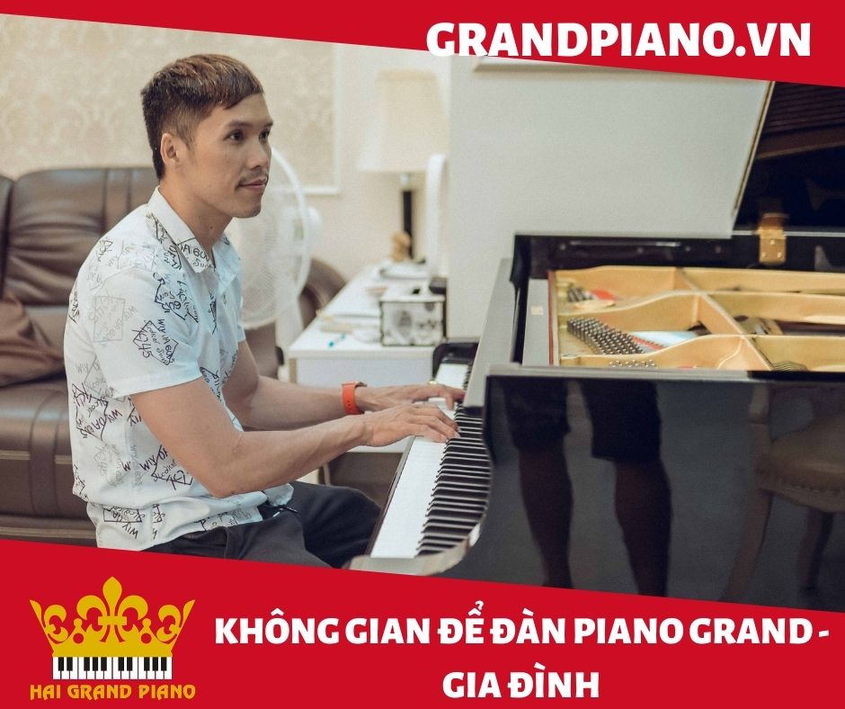 KHÔNG GIAN ĐỂ ĐÀN GRAND PIANO | GIA ĐÌNH | QUẬN 2