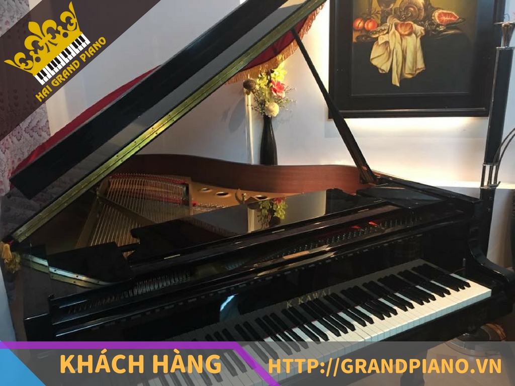 grand-piano-kawai-rx-1-2