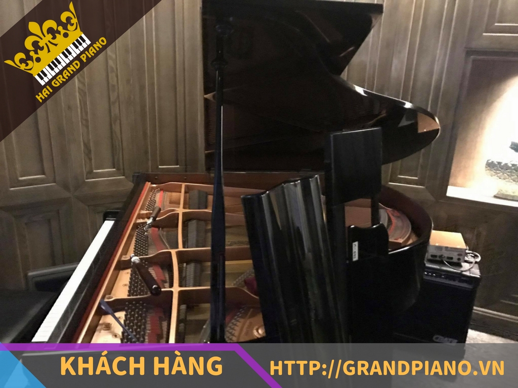 Boudoir Lounge - Đàn Grand Piano Yamaha G1B Baby