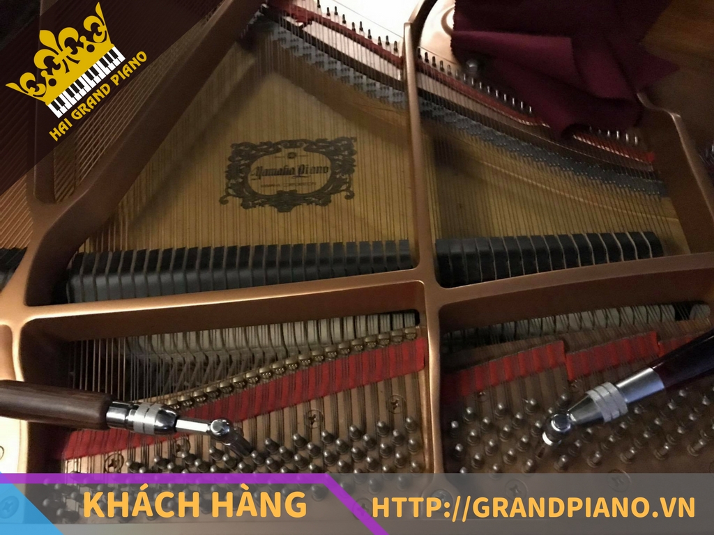 grand-piano-g1b-3