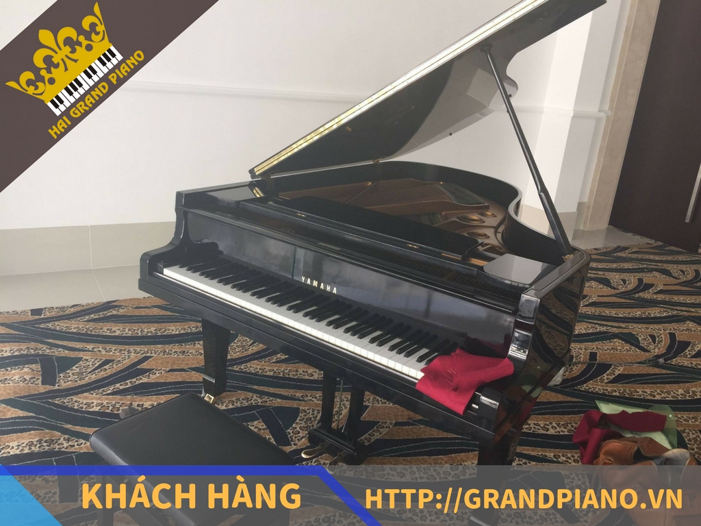  Capella Parkview - Đàn Grand Piano Yamaha G3D