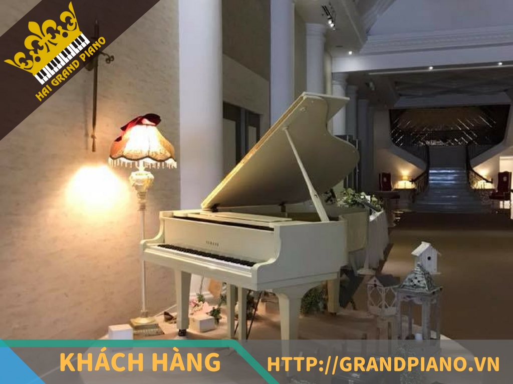 Diamond Palace - Đàn Grand Piano Yamaha G3E 