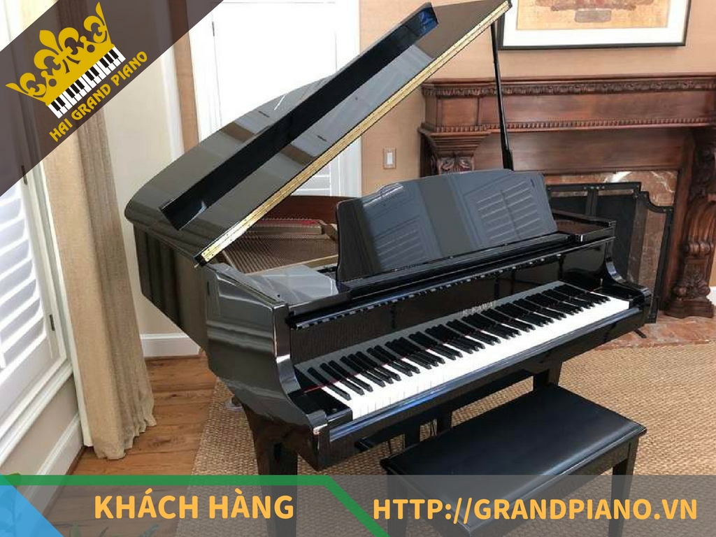 Hoàng Hải - Đàn Grand Kawai Piano GM-1 Baby
