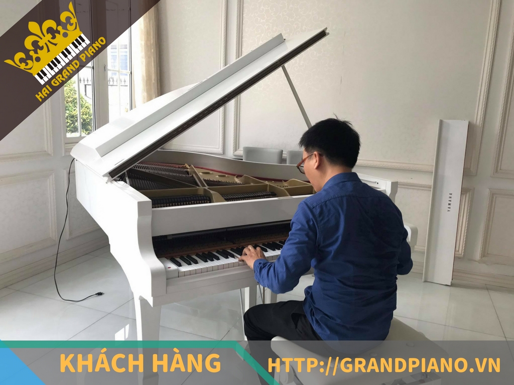 grand-piano-25
