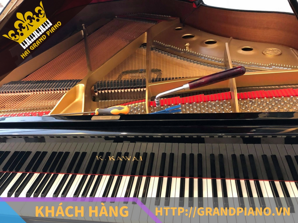 khach-hang-grand-piano-4