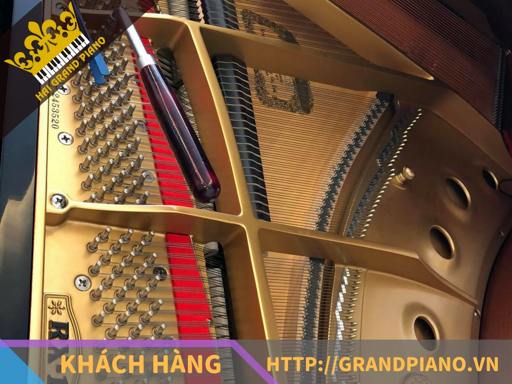 khach-hang-grand-piano-6