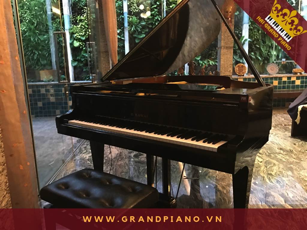grand-piano-kg-3